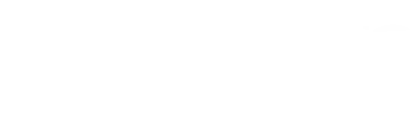 Logo Sitelicon · PNG blanco
